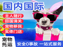 普宁机场货运国际宠物托运 【国